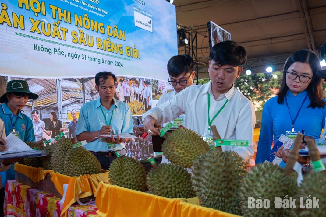 Ban giám khảo đánh giá phần thi Bàn tay vàng trong làng nghề sầu riêng của các đội.