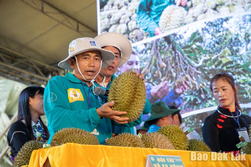 Thí sinh của đội xã Ea Yông giới thiệu về sầu riêng được trồng ở vùng đất của mình. 