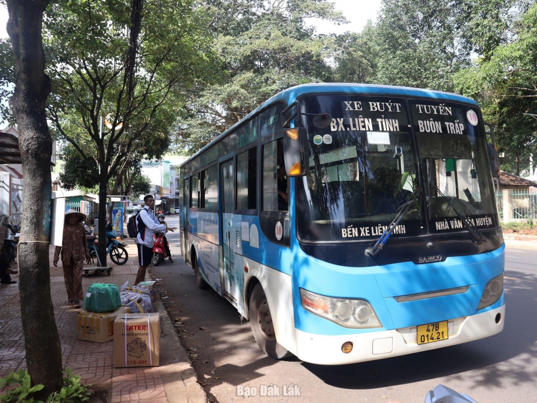 Xe buýt tuyến TP. Buôn Ma Thuột - thị trấn Buôn Trấp khi còn hoạt động.