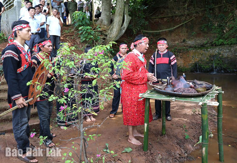 Thầy cúng đọc lời khấn tại bến nước, trước sự chứng kiến của bà con trong buôn và du khách gần xa. Lễ vật cúng bến nước gồm 1 con heo, rượu cần, xôi nếp.