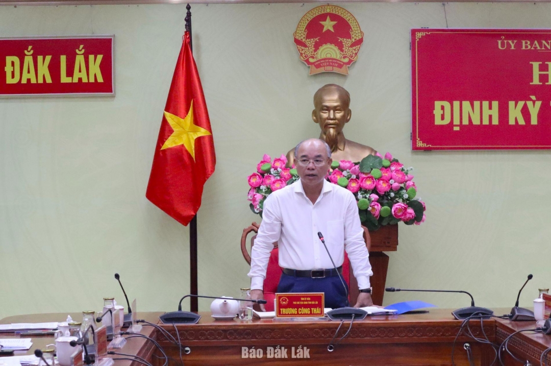 Phó Chủ tịch UBND tỉnh Trương Công Thái phát biểu kết luận cuộc họp.