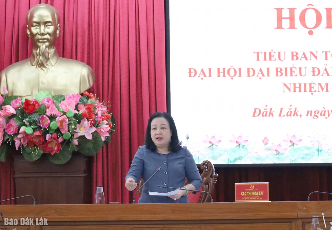 Phó Bí thư Thường trực Tỉnh ủy, Chủ tịch HĐND tỉnh, Trưởng Tiểu ban Tổ chức phục vụ Đại hội Cao Thị Hòa An chủ trì hội nghị.
