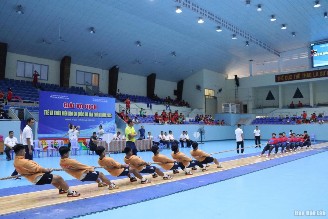 Vận động thi đấu