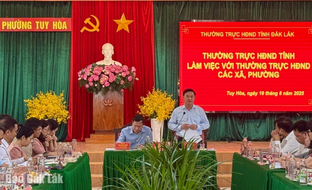 Phó Chủ tịch HĐND tỉnh Đỗ Thái Phong phát biểu tại buổi làm việc.