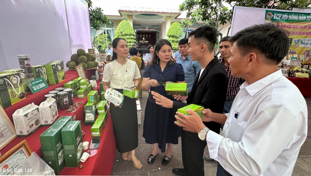 Doanh nghiệp giới thiệu sản phẩm OCOP được trưng bày, giới thiệu tại hội nghị.