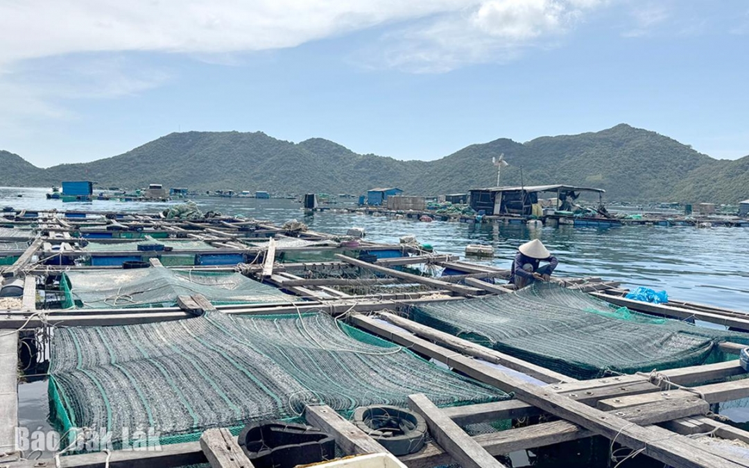 Người dân nuôi thủy sản tại vịnh Vũng Rô. Ảnh minh họa