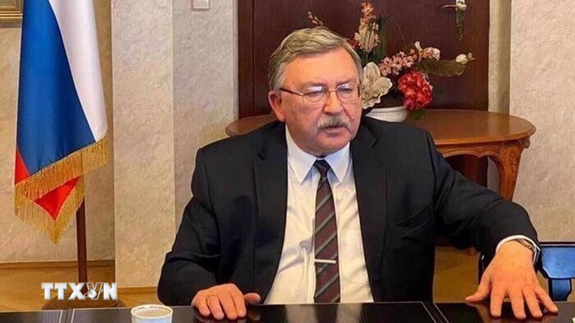 Đại diện thường trực của Nga tại các tổ chức quốc tế ở Vienna (Áo) Mikhail Ulyanov. Ảnh: TTXVN
