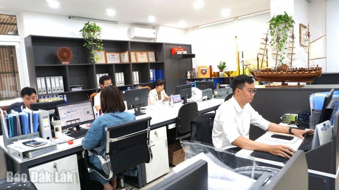 Công ty TNHH MTV Xuất nhập khẩu 2-9 Đắk Lắk 