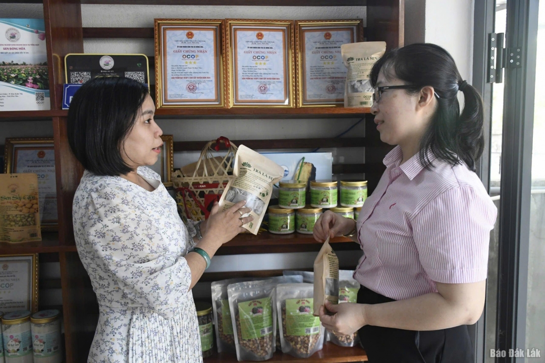 chị Phạm Thị Bích Thuỷ, Giám đốc HTX Nông nghiệp kinh doanh dịch vụ tổng hợp sen Đông Hòa (ở xã Hòa Xuân) giới thiệu, quảng bá bán sản phẩm của HTX