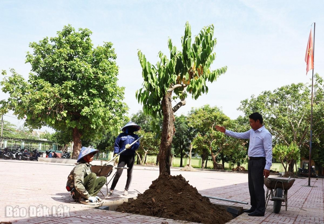 Sân Trường THCS Võ Thị Sáu (xã Buôn Đôn) đang được gấp rút hoàn thiện. 