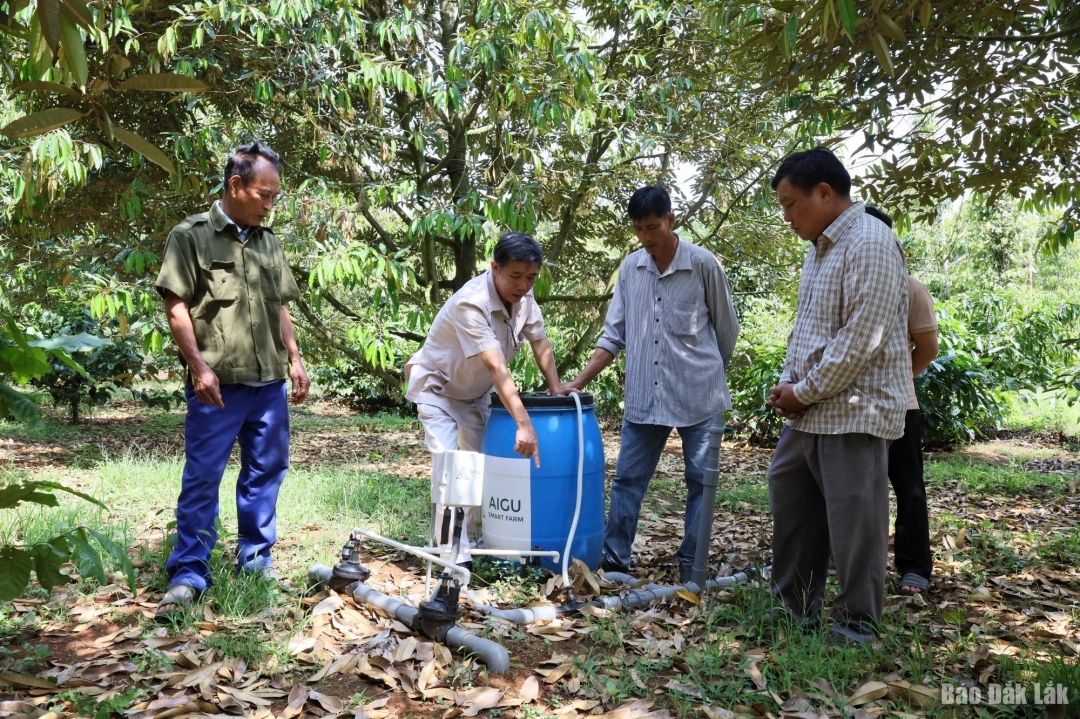 HTX Dịch vụ nông nghiệp sạch (xã Krông Pắc) hướng dẫn các thành viên về quy trình ứng dụng công nghệ thông minh trong sản xuất sầu riêng.