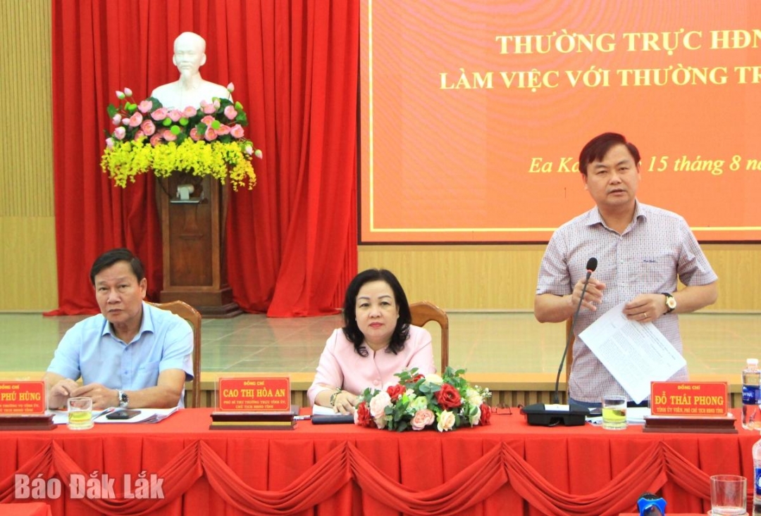 Phó Chủ tịch HĐND tỉnh Đỗ Thái Phong phát biểu tại buổi làm việc.