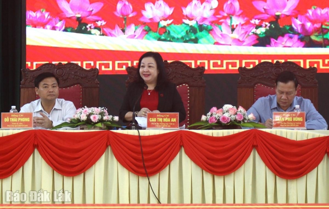 Phó Bí thư Thường trực Tỉnh ủy, Chủ tịch HĐND tỉnh Cao Thị Hòa An phát biểu kết luận buổi làm việc.