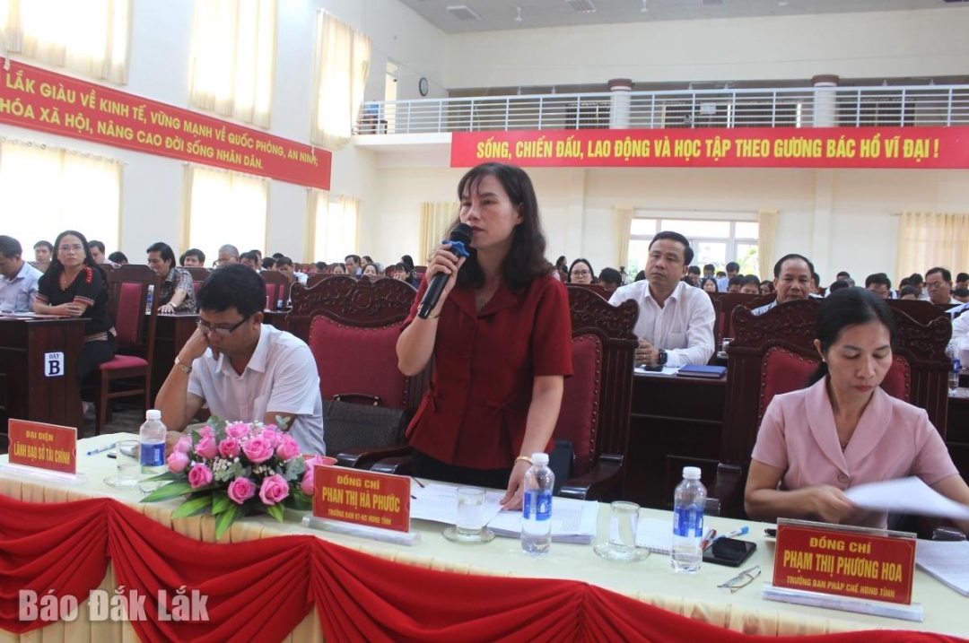 Trưởng Ban Kinh tế - Ngân sách HĐND tỉnh Phan Thị Hà Phước hướng dẫn, làm rõ một số nội dung liên quan.