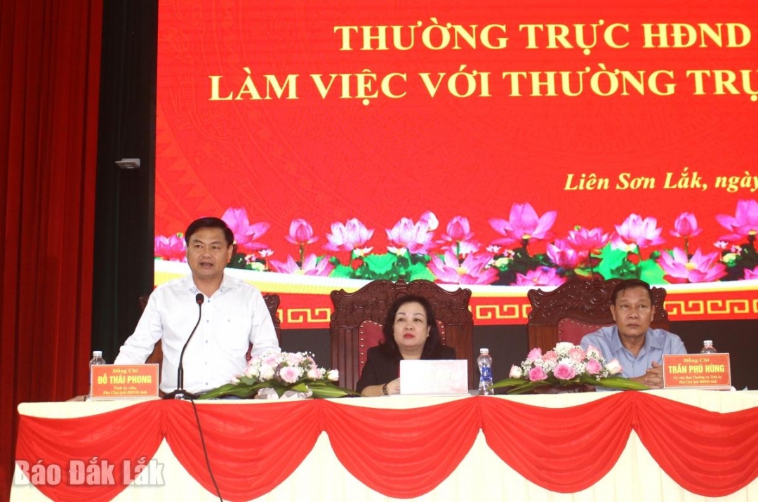 Phó Chủ tịch HĐND tỉnh Đỗ Thái Phong nêu một số nội dung cần lưu ý trong quá trình hoạt động của HĐND cấp xã.