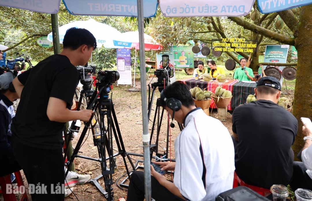 Bộ phận kỹ thuật quay và phát sóng livestream ngay tại vườn sầu riêng của nông dân.