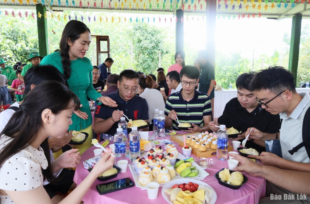 Bí thư Đảng ủy xã Ea Knuếc Ngô Thị Minh Trinh giới thiệu và mời đoàn khách thưởng thức sầu riêng.