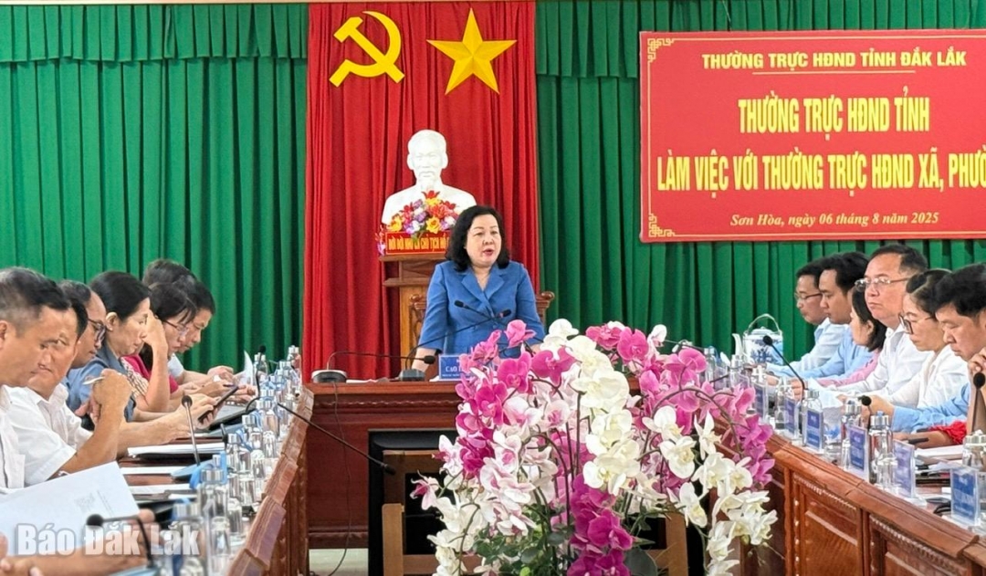 Đồng chí Cao Thị Hòa An phát biểu tại buổi làm việc.