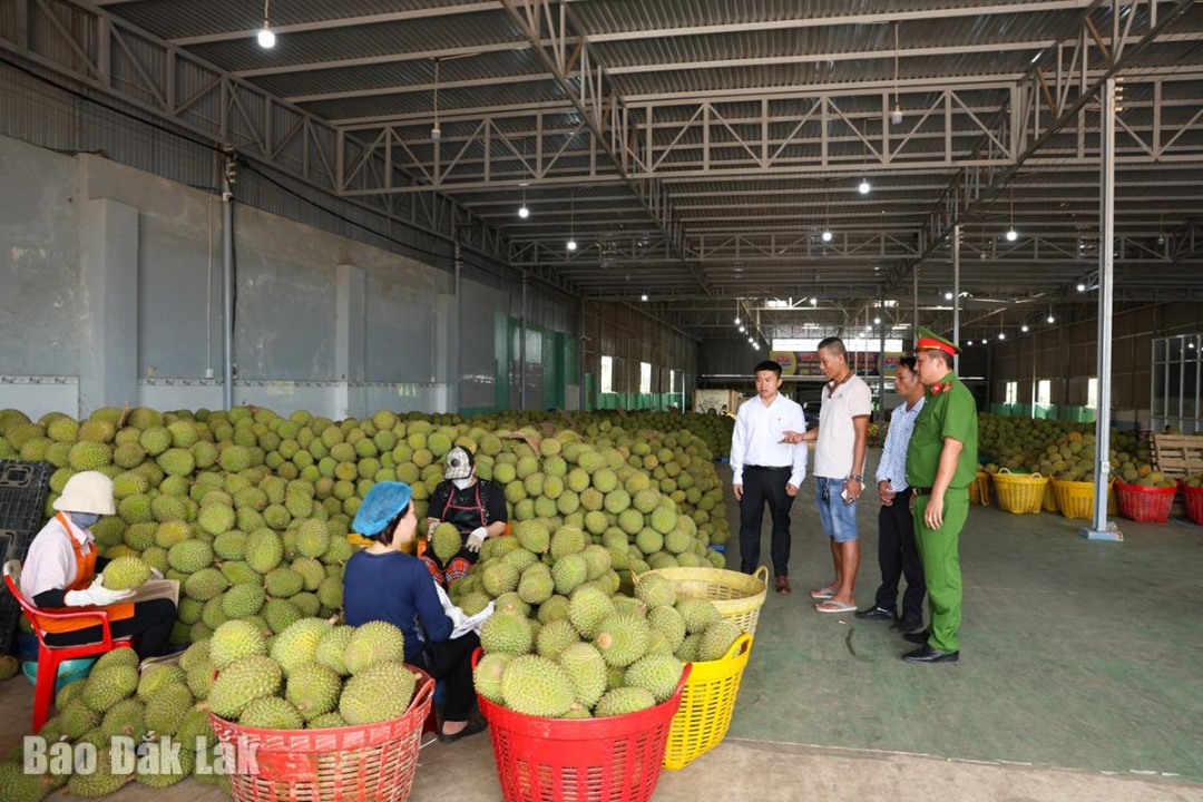 Đoàn kiểm tra liên ngành của xã Ea Knuếc làm việc tại kho sản xuất của Công ty TNHH Thương mại Nông sản quốc tế Tai Wang.