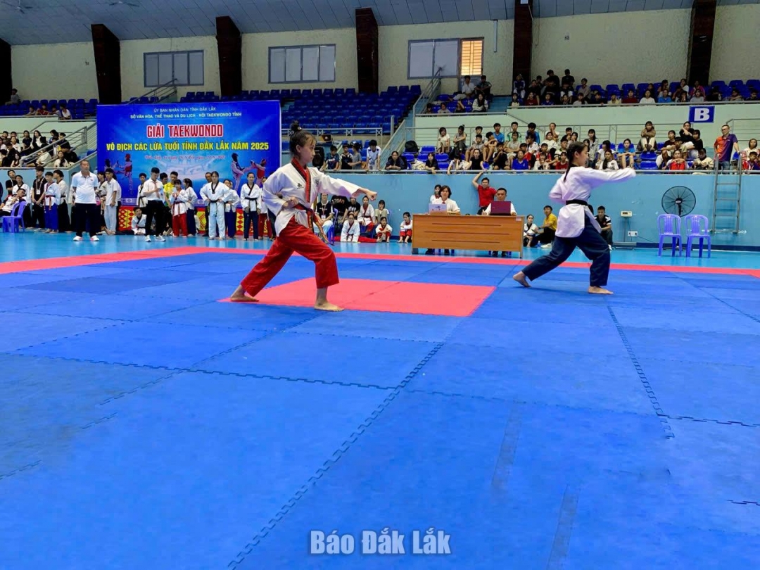 Võ sĩ thi đấu nội dung quyền
