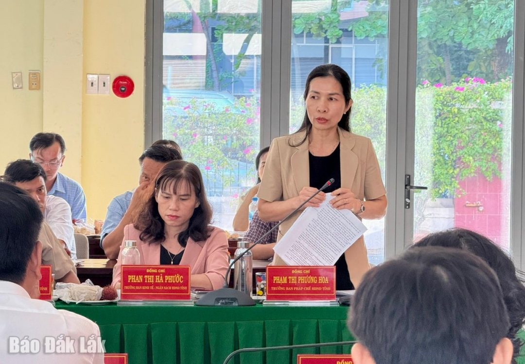 Trưởng Ban Pháp chế HĐND tỉnh Phạm Thị Phương Hoa thông tin về hoạt động pháp chế thuộc thẩm quyền cho các xã, phường nắm thêm.