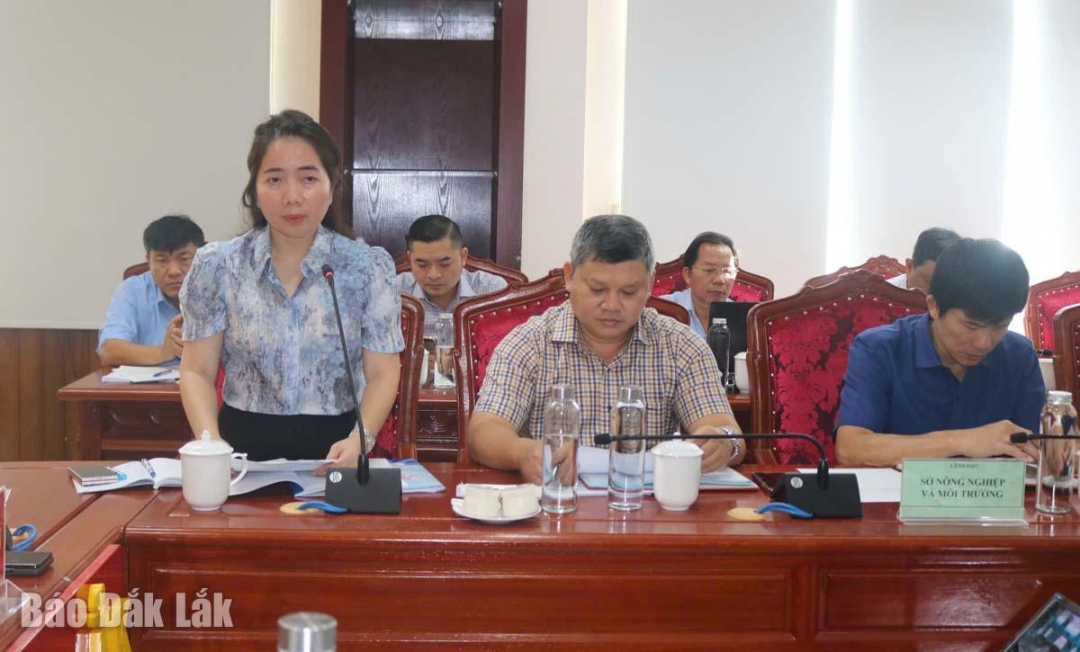 Phó Giám đốc Sở Nông nghiệp và Môi trường Đặng Thị Thủy báo cáo tại cuộc họp.