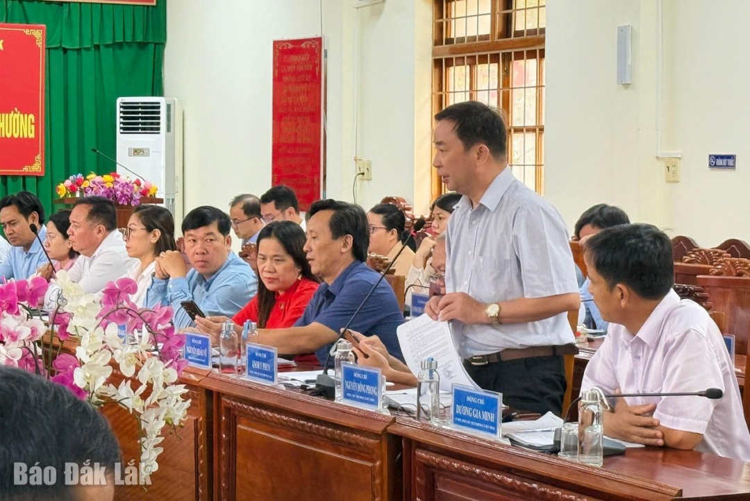 Đại diện lãnh đạo xã Đức Bình báo cáo hoạt động của địa phương với đoàn làm việc.