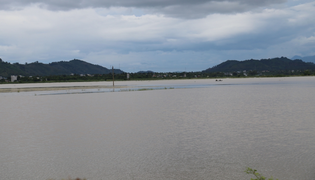 Cánh đồng lúa xã Bình Hòa, huyện Krông Ana bị ngập