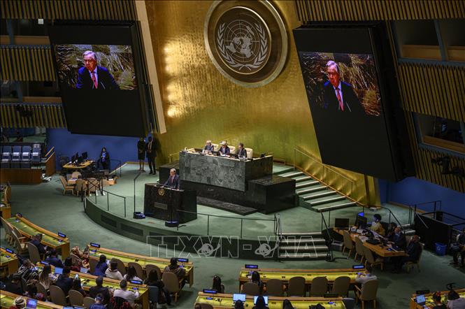 Một phiên họp của Đại hội đồng LHQ ở New York, Mỹ. Ảnh tư liệu: AFP/TTXVN