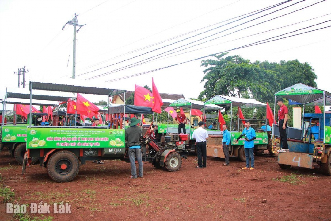 Những chiếc xe công nông được Ban tổ chức tu sửa lại để phục vụ khách tham quan.