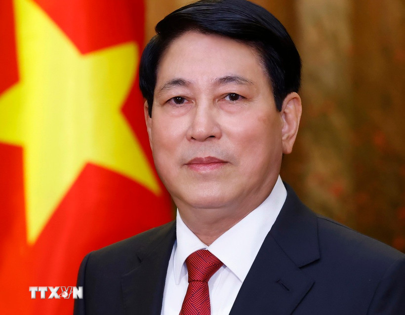 Chủ tịch nước Lương Cường. Ảnh: TTXVN
