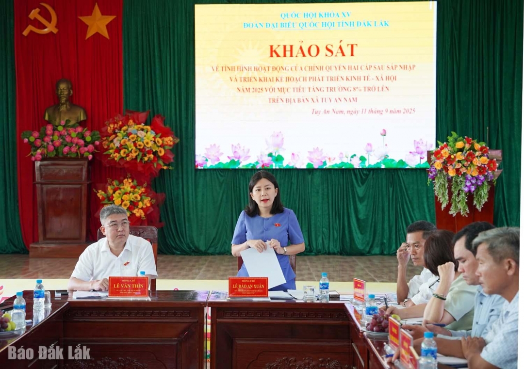 Đồng chí Lê Đào An Xuân, Phó Trưởng đoàn chuyên trách Đoàn ĐBQH tỉnh phát biểu tại buổi khảo sát.