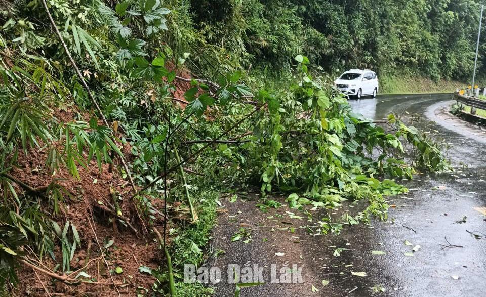 Cây cối và đất đá đổ xuống Quốc lộ 27 đoạn qua địa bàn xã Đắk Phơi.