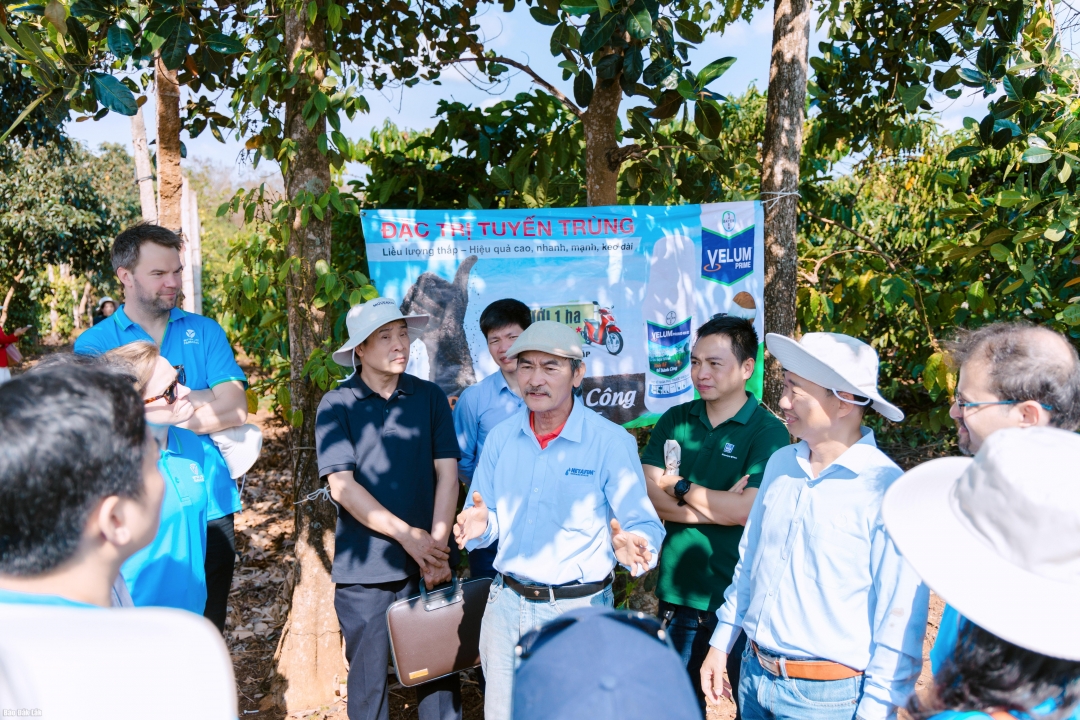 Ông Nguyễn An Sơn