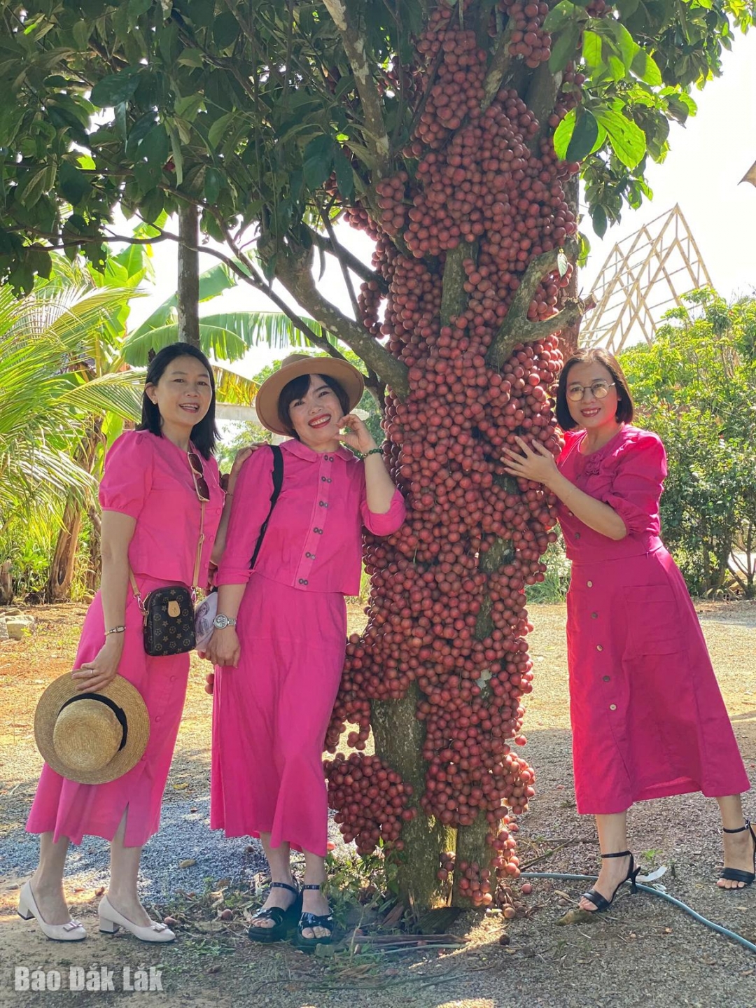 Du khách thích thú check-in bên cây đỏ ở cao nguyên Vân Hòa.