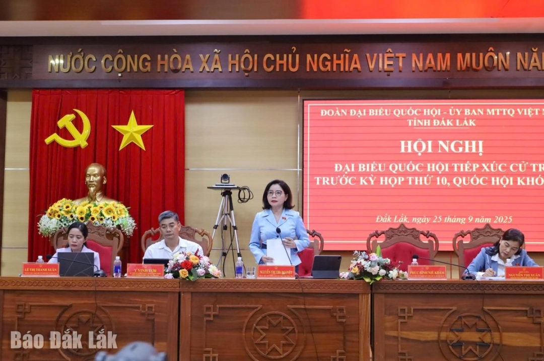 Phó Trưởng Đoàn phụ trách Đoàn đại biểu Quốc hội tỉnh Nguyễn Thị Thu Nguyệt phát biểu tại hội nghị.