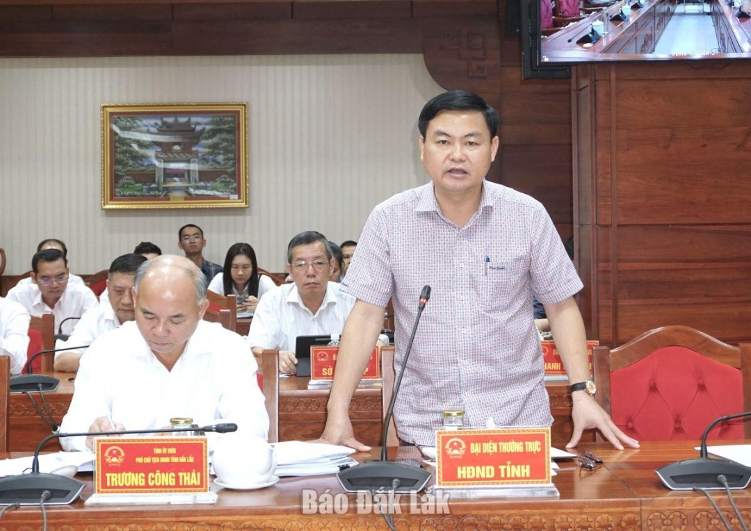 Phó Chủ tịch HĐND tỉnh Đỗ Thái Phong phát biểu tại hội nghị.