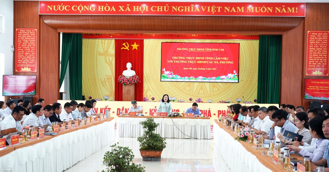 Đại biểu tham dự buổi làm việc