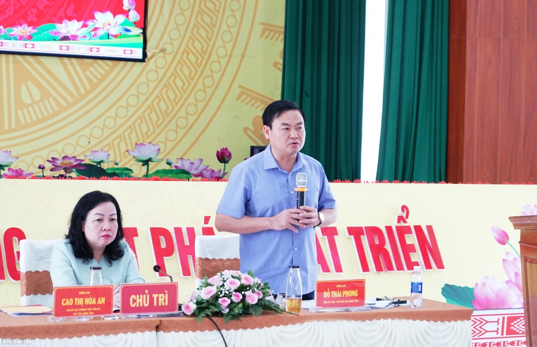 Phó Chủ tịch HĐND tỉnh Đỗ Thái Phong phát biểu tại buổi làm việc