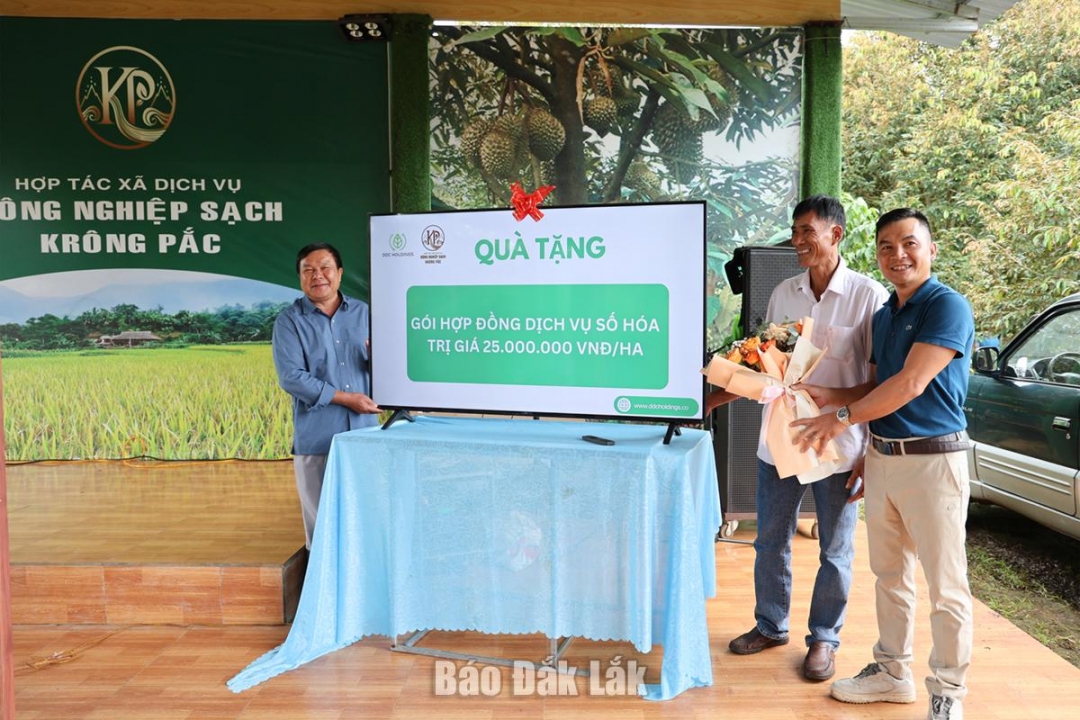 Công ty Cổ phần DDC Holdings đã tặng một ti vi (55 in) cho HTX Dịch vụ nông nghiệp sạch Krông Pắc.