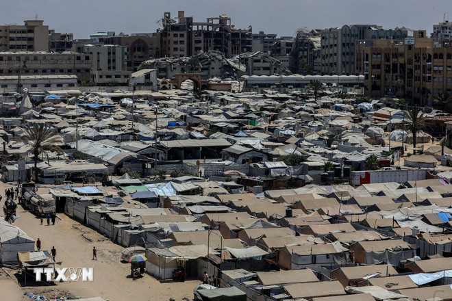 Lều trại cho người sơ tán lánh nạn Palestine tại thành phố Gaza ngày 4/8/2025. Ảnh: TTXVN