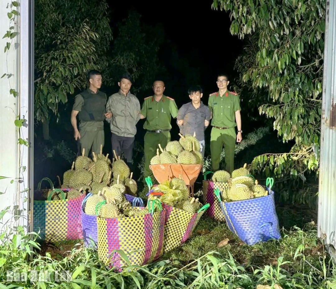 Lực lượng chức năng bắt giữ các đối tượng