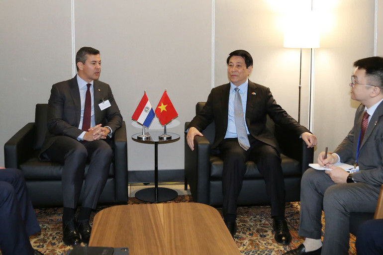 Chủ tịch nước Lương Cường đã gặp Tổng thống Paraguay Santiago Peña Palacios. Ảnh: Báo Nhân Dân