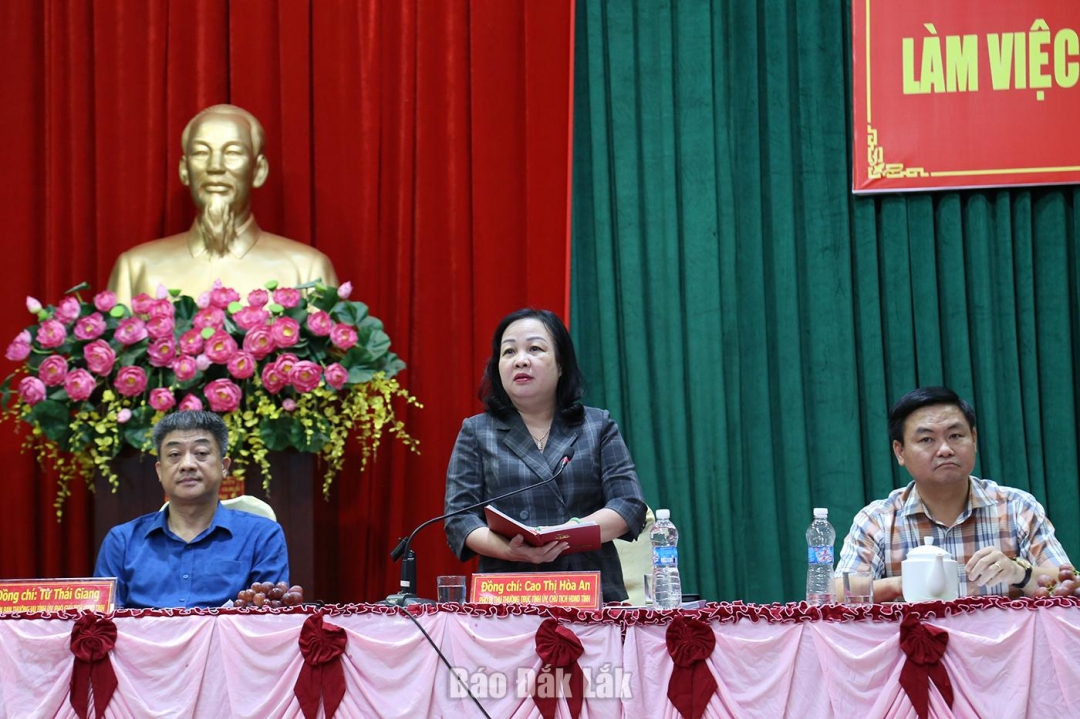 Phó Bí thư Thường trực Tỉnh ủy, Chủ tịch HĐND tỉnh Cao Thị Hòa An phát biểu tại buổi làm việc