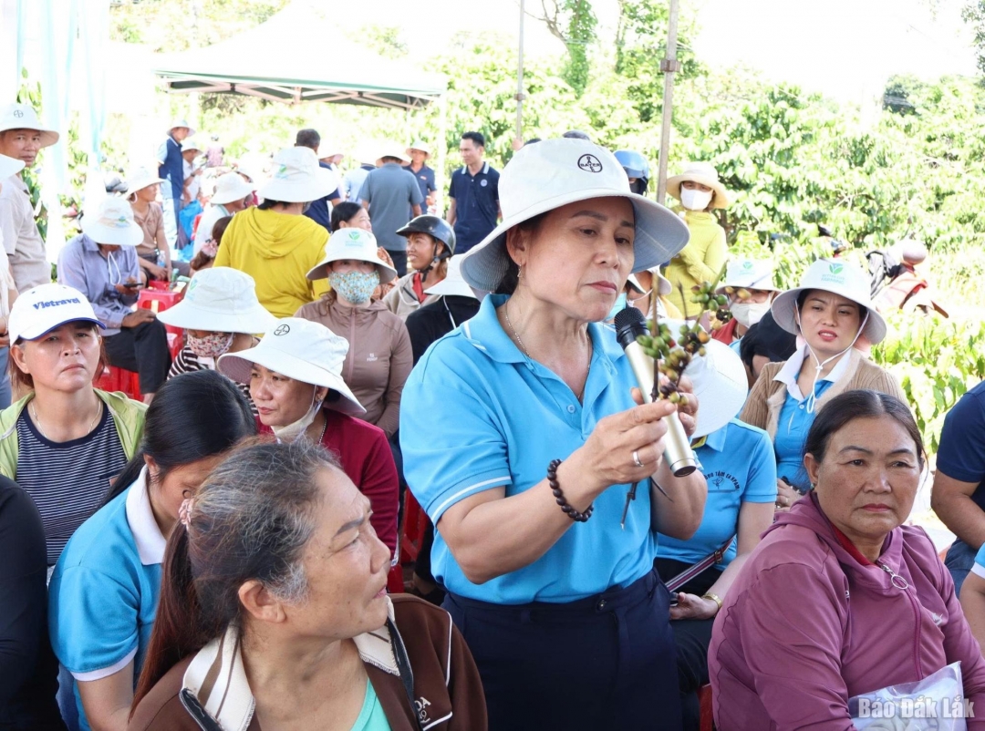 Nông dân trao đổi cùng các chuyên gia về các vấn đề của cây cà phê.