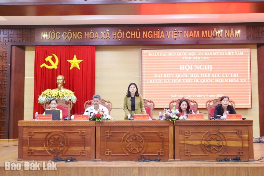 Phó Trưởng Đoàn chuyên trách Đoàn ĐBQH tỉnh Lê Đào An Xuân phát biểu tại hội nghị.
