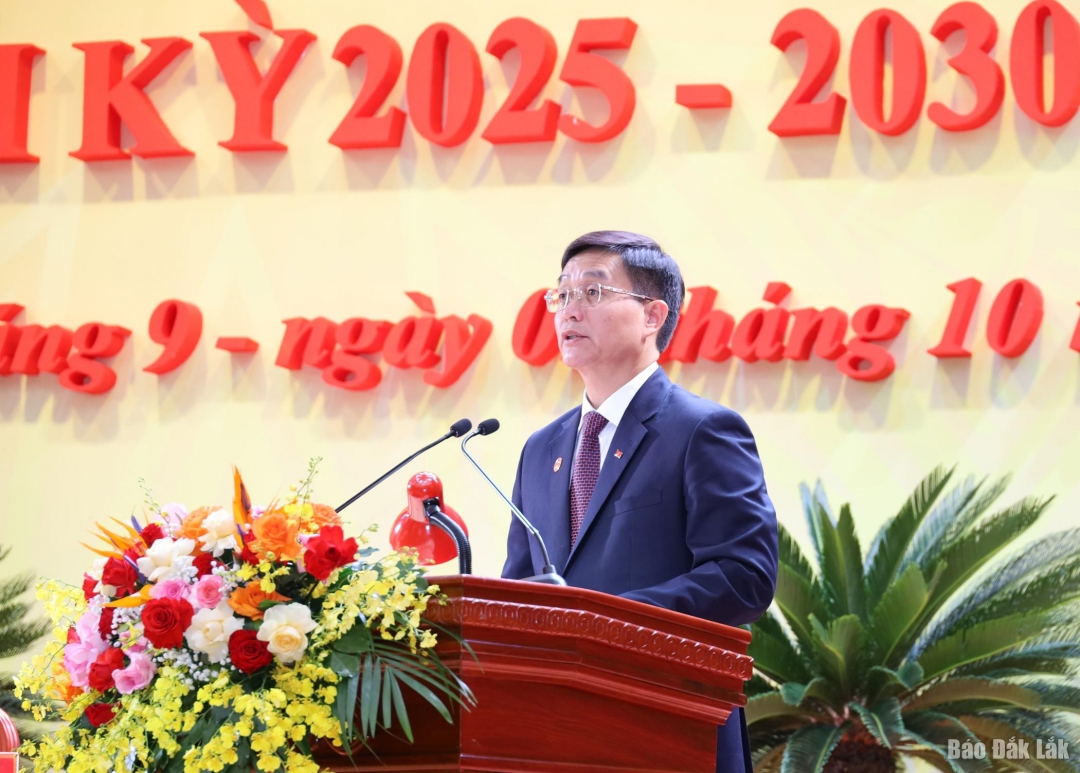 Ủy viên Trung ương Đảng, Bí thư Tỉnh ủy Nguyễn Đình Trung phát biểu khai mạc tại phiên trù bị đại hội.