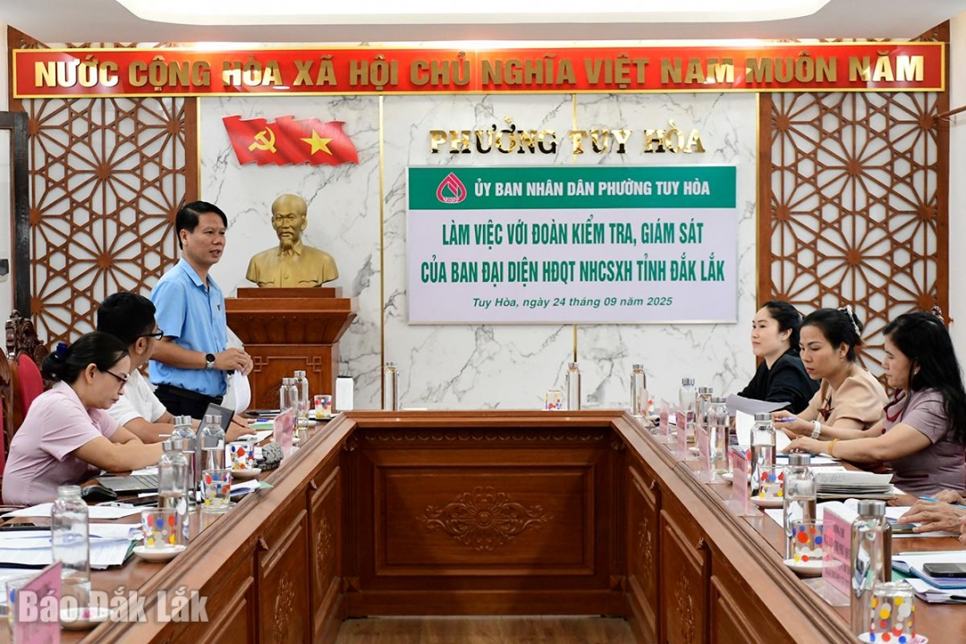 Đồng chí Lương Minh Tùng, Phó Chủ tịch Ủy ban MTTQ Việt Nam tỉnh, Bí thư Tỉnh Đoàn phát biểu kết luận buổi kiểm tra, giám sát.