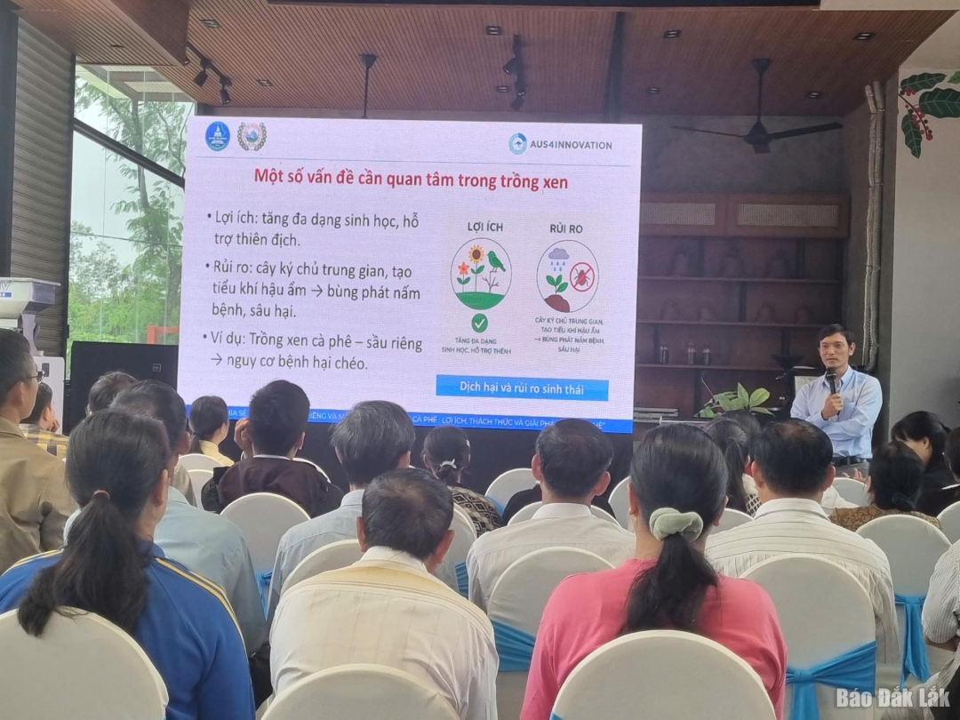 Thạc sĩ Hoàng Hải Long trình bày báo cáo kết quả nghiên cứu mô hình trồng xen trong vườn cà phê.