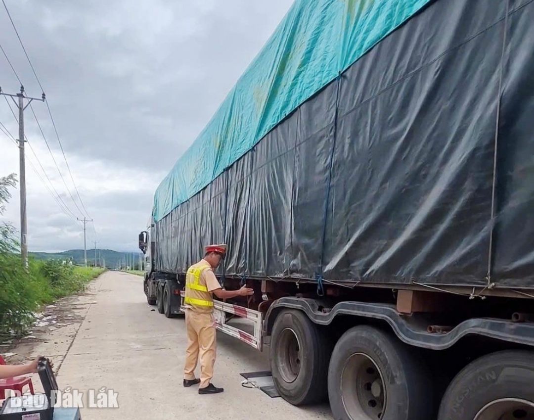 Đội Cảnh sát giao thông đường bộ số 4 cân kiêm tra tải trọng xe có dấu hiệu vi phạm. 